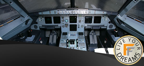 Subcategory: Flight simulators